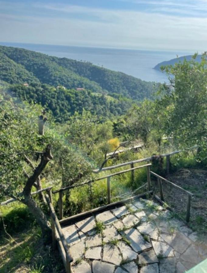 Corner Of Paradise * Moneglia
