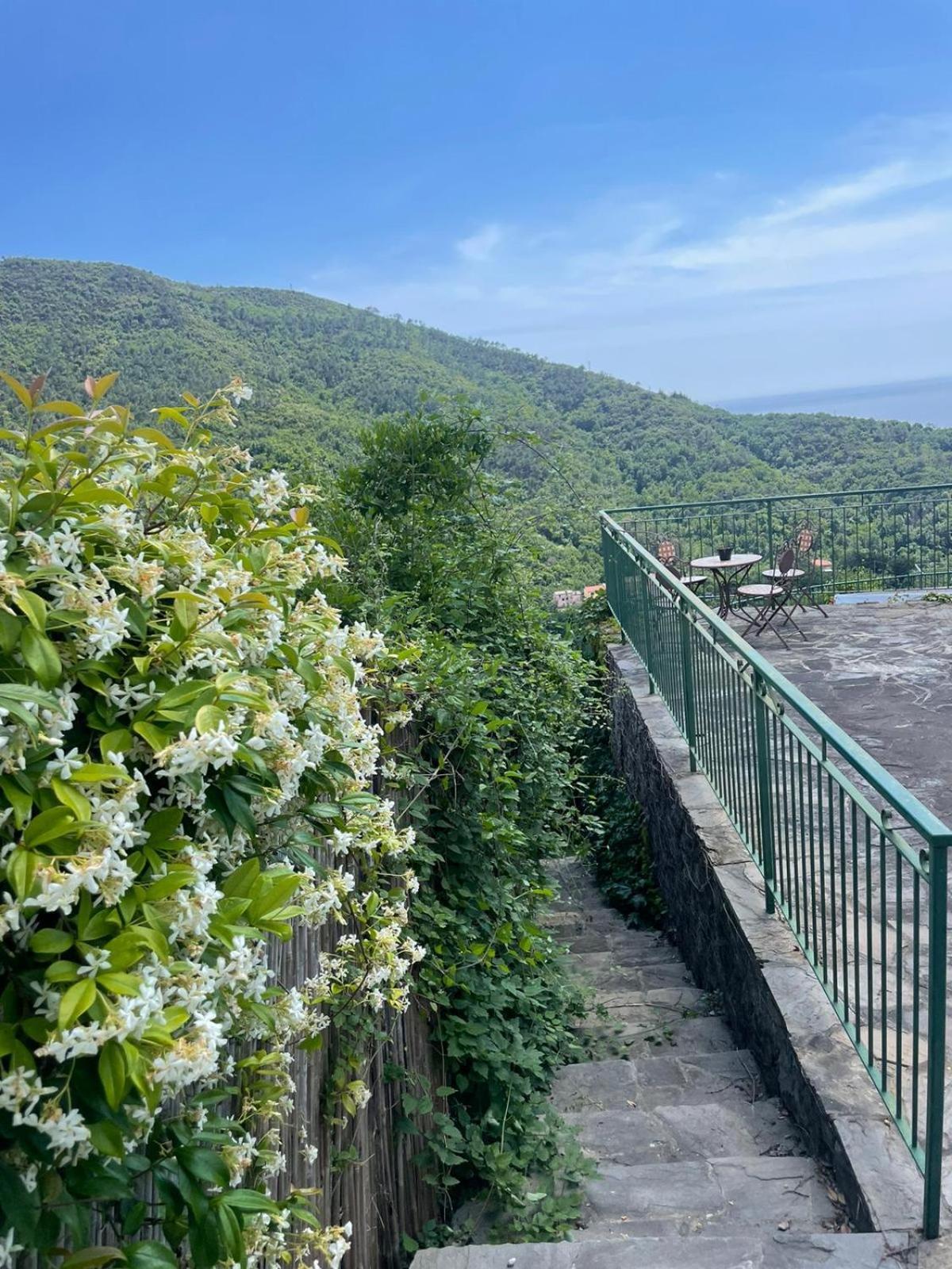 Corner Of Paradise Moneglia