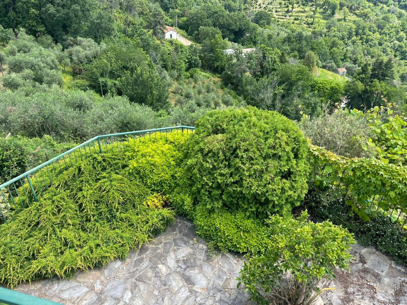 Corner Of Paradise Moneglia
